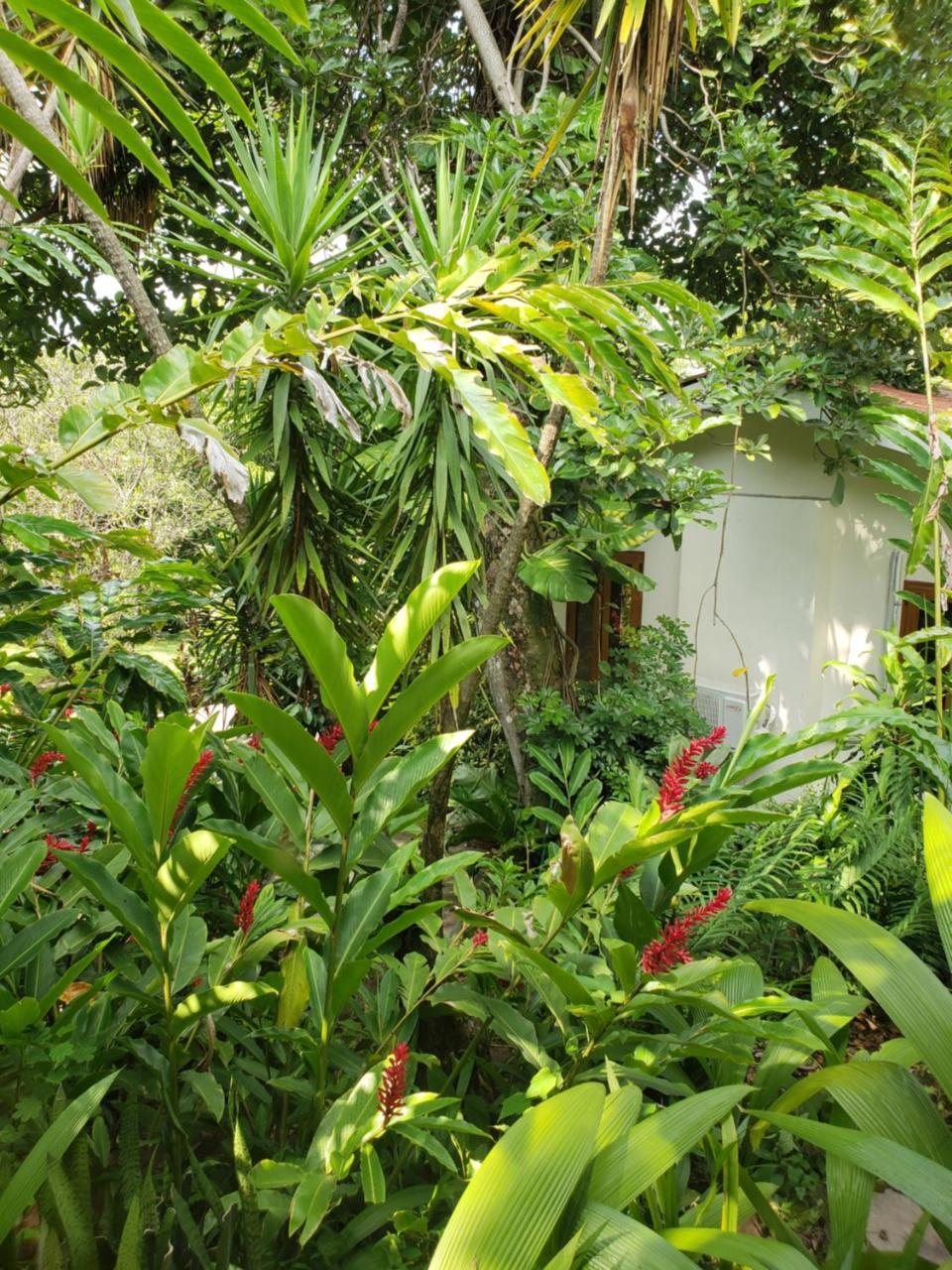 Domus Hotel San Salvador Eksteriør bilde