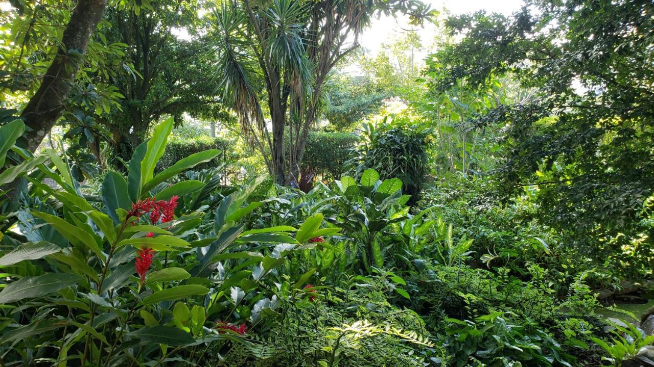 Domus Hotel San Salvador Eksteriør bilde